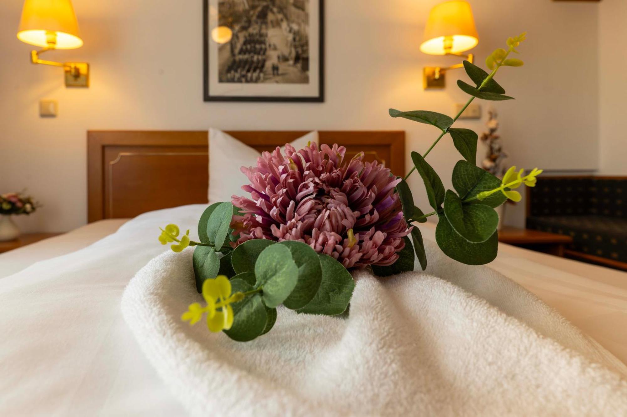 Hotel Alekto Фрайберг Екстериор снимка